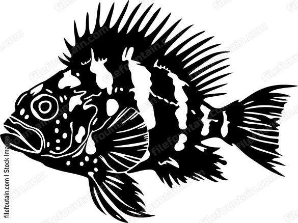 silhouette of fish