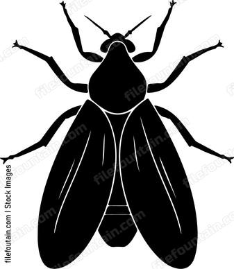 silhouette of fly