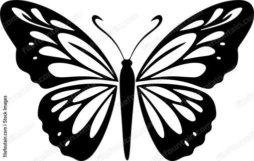 simple black butterfly