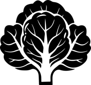 simple cabbage vegetable