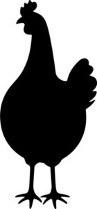 simple chicken shape