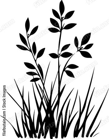 simple plant