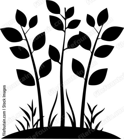 simple plant with leaves and grass
