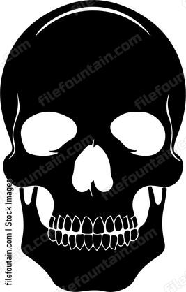 skull without lower jaw