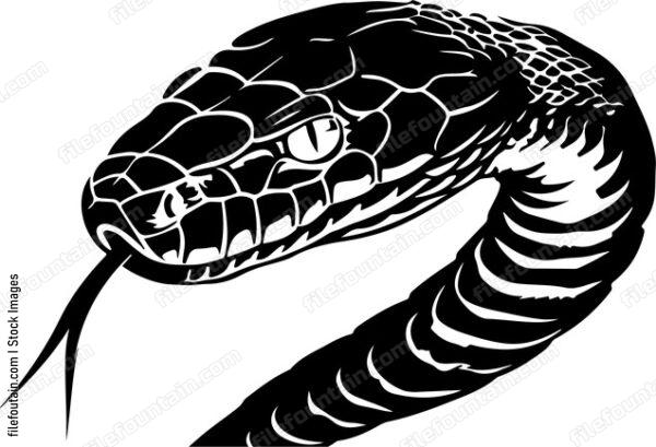 Snake Head