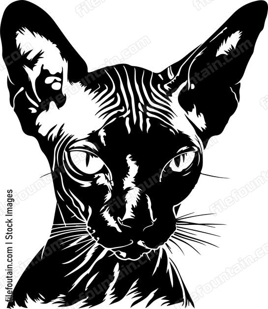 Sphynx Cat