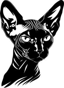 Sphynx Cat