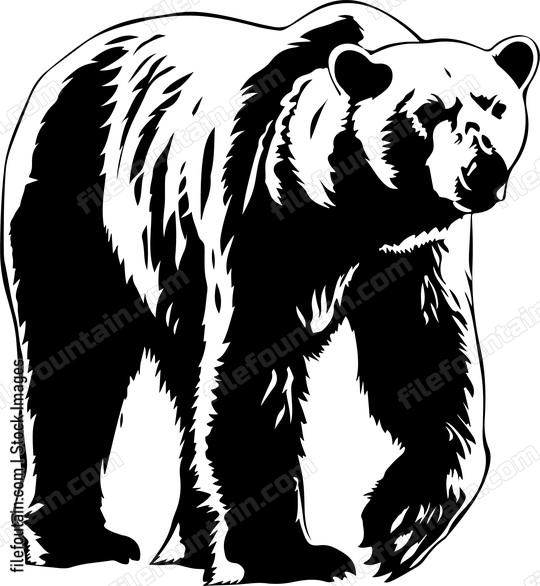Standing Polar Bear