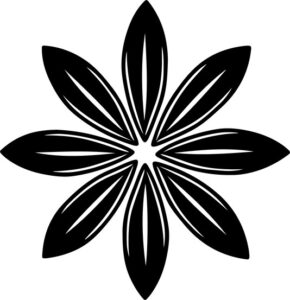 Star Anise
