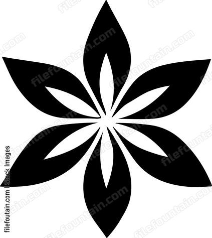 Star Anise