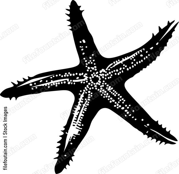 Starfish