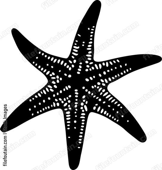Starfish