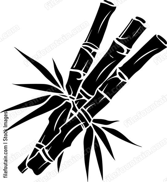Sugar Cane