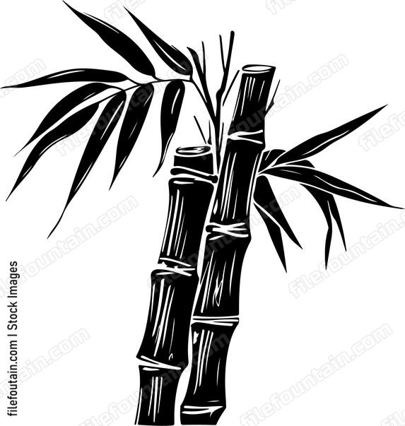Sugar Cane