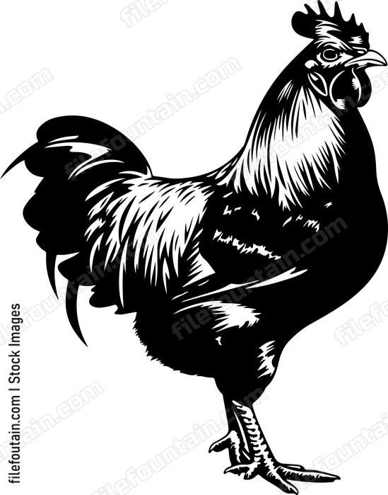 Sultan Chicken