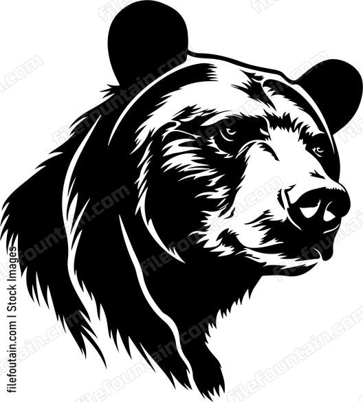 Sun Bear