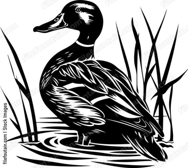 Swamp Duck Hunting