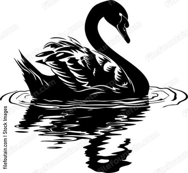 Swan Pose