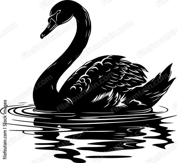 Swimming Swan