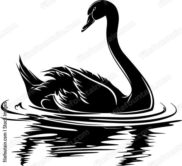 Swimming Swan