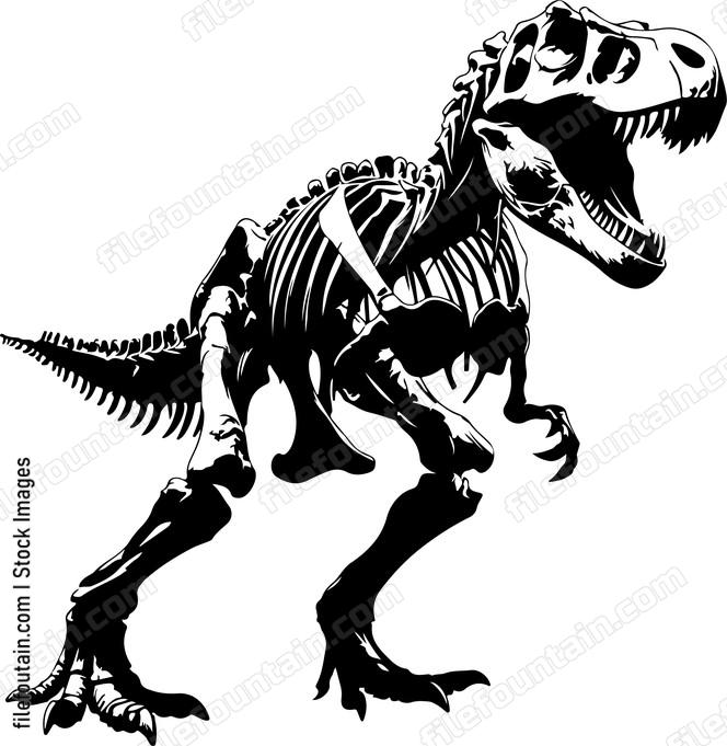 T rex Skeleton