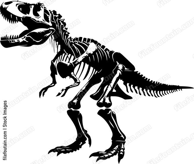 T rex Skeleton