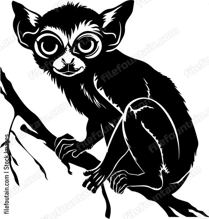 Tarsier Funny