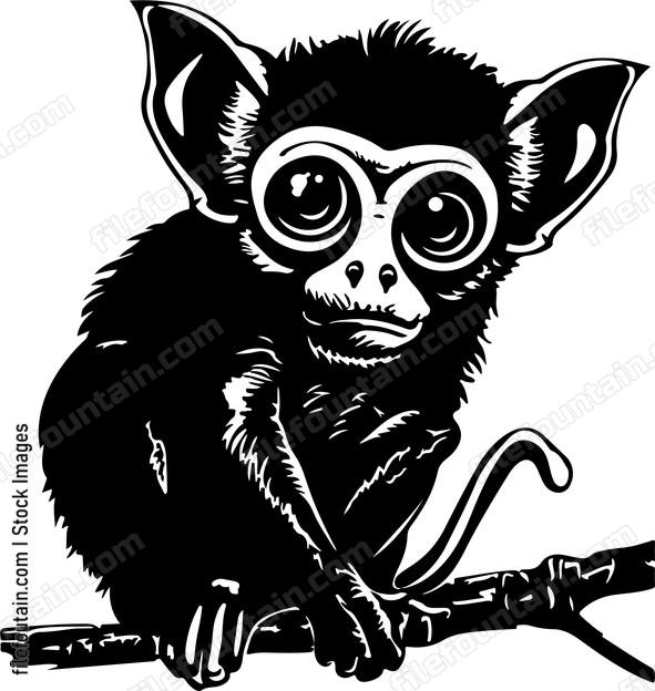 Tarsier Funny