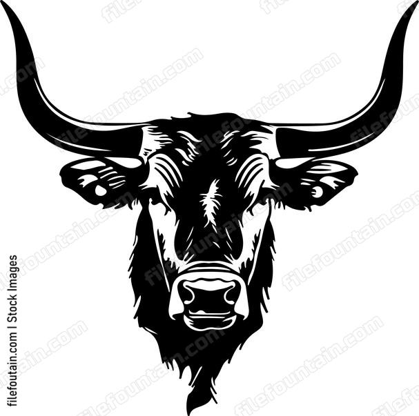 Texas Longhorn