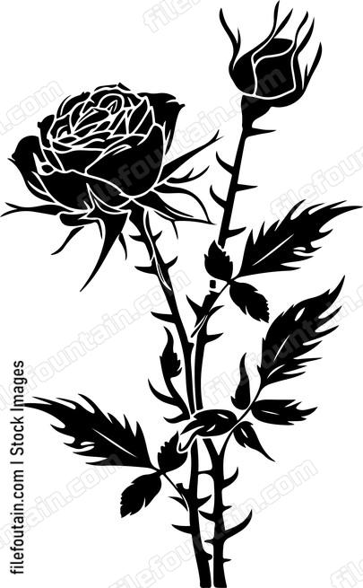 Thistle And Rose