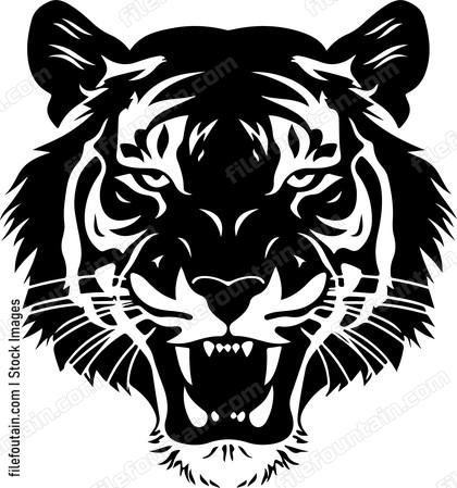 Tiger Tooth