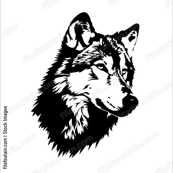 Timber Wolf