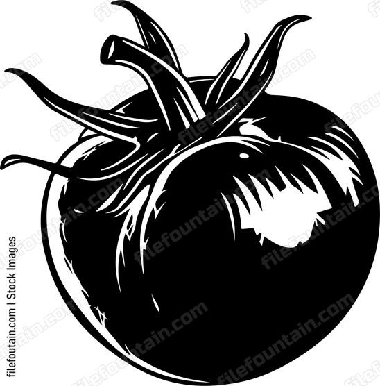 Tomato