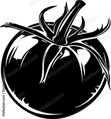 Tomato