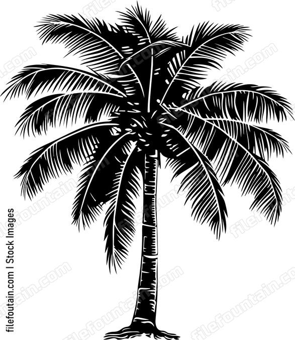 Tropical Tree