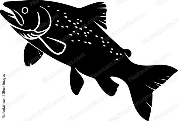 Trout