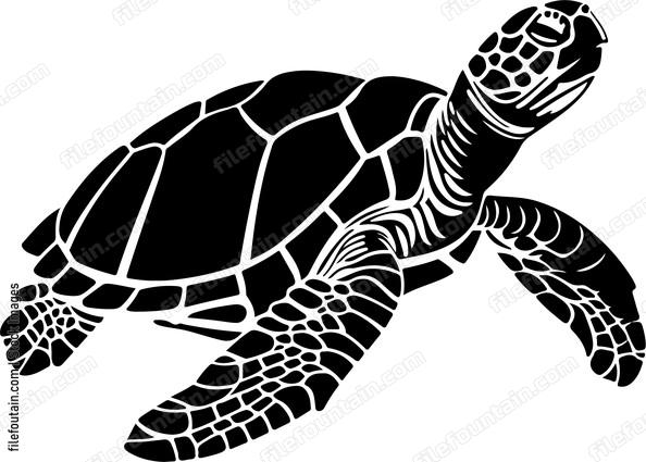 turtle in silhouette