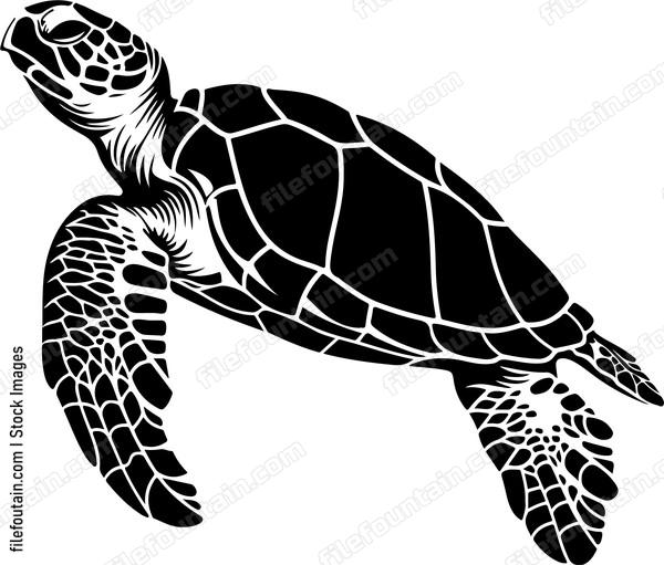 turtle in silhouette