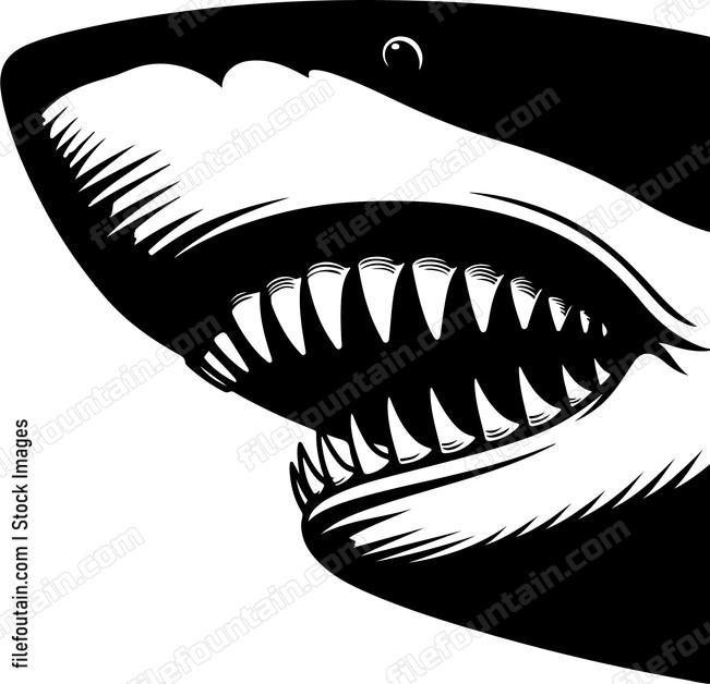 Up close shot of a sharks teeth and jaw structure