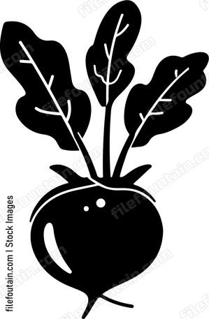 Vegetable