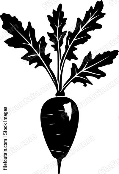Vegetable