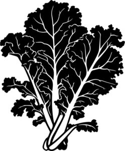 Vegetables Kale