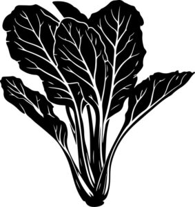 Vegetables Swiss Chard