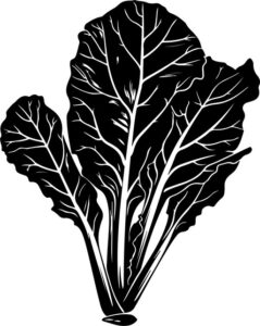 Vegetables Swiss Chard