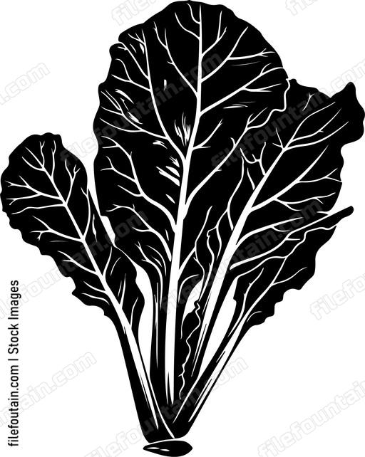 Vegetables Swiss Chard