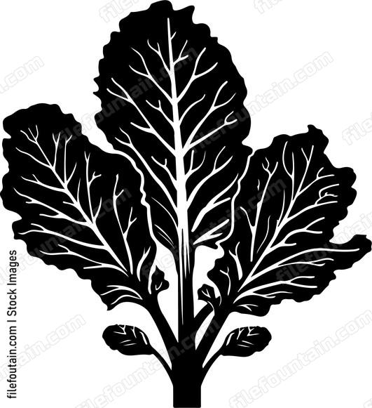 Vegetables Swiss Chard