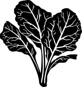 Vegetables Swiss Chard