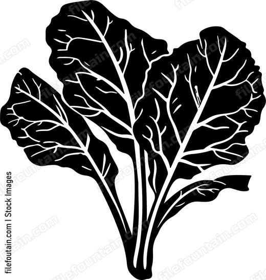 Vegetables Swiss Chard