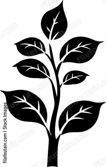Vegetation