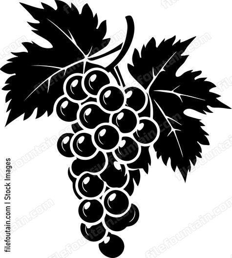 Vineyard